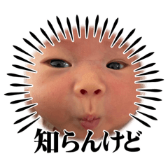 koto_20230922111855