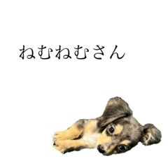 YUKA_20230921235804