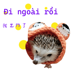 Araw-araw na Cute Healing Hedgehog-13