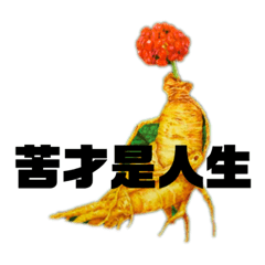 人蔘金句