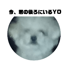 sebe_20230921210857