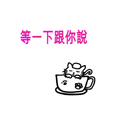 Liangliang Little Meow 4-105