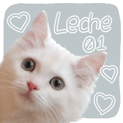 Leche01