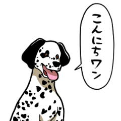 talking Dalmatian dog