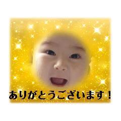 sakura_20230922105347