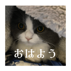 Hana_20230922135815