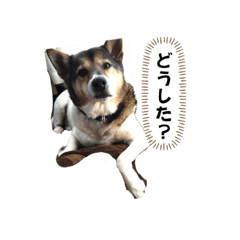 Ji_20230923091741
