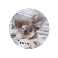 hamko_20230922164134