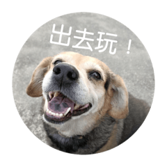 小黃の可愛小勾語