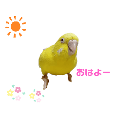 yuka_20230923001658