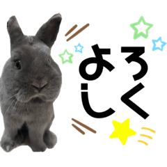 NATSUMI_20230922221740