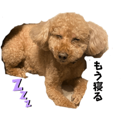 yukari_20230922205318