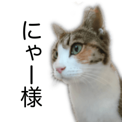 にゃー様スタンプ - LINE スタンプ | LINE STORE にゃー様スタンプ - LINE スタンプ | LINE STORE