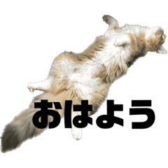 tama-mi_20230922155635