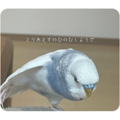 pekomugipopo_20230922223256