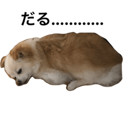 tanaka_20230922230514