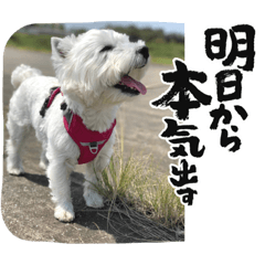 STEP UP_20230923013408