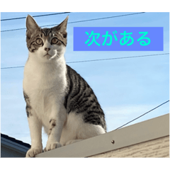 utoizu_20230923131843