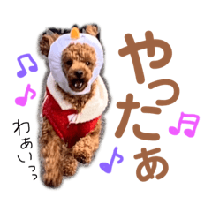Hana_20230923125250