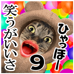 ★リアルキジトラ★笑える猫写真9(修正版)