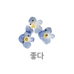 flower and flower and