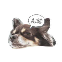 yuka-nda