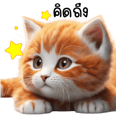 Orange Baby Cute Cat