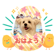 ponchan_20230923200118