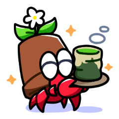 Planter hermit crab -Hachi-