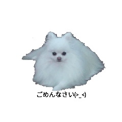 mitsuoka_20230923181118