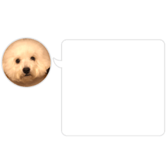 ai_20230923190337328