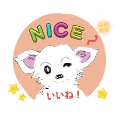 whiteチワワんこ 犬の日！