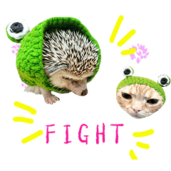 Araw-araw na Cute Healing Hedgehog-14