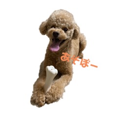 kayo_20230923200522
