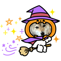 yuuko_20230923214650