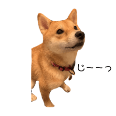 yuka_20230923223404