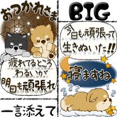 (Big) Shiba-inu (With a word (autumn))
