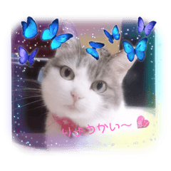 Sakura_20230924113452