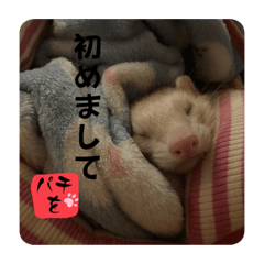 tanaka_20230924010831