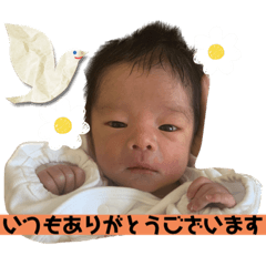 KAEDE_20230924082959