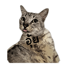 Melon_20230924120610