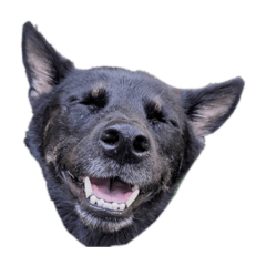 Chibi39_20230924144509