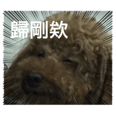 傻眼阿肥