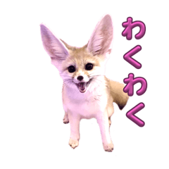 Omochi_20230924174850