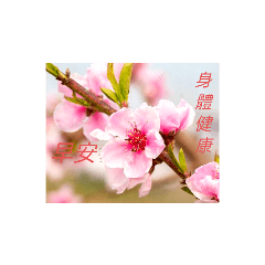 長輩篇