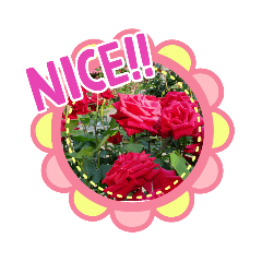 nao_20230924182707