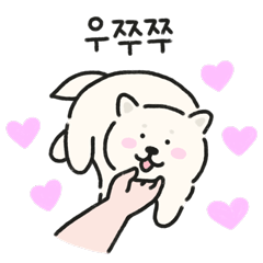 かわいい白い子犬トルトル (Korean ver.)