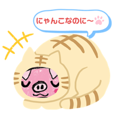 Natsumi_20230924194919