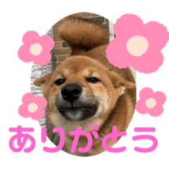 Yukari_20230924200707