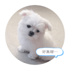 嘟嘟可愛嘟